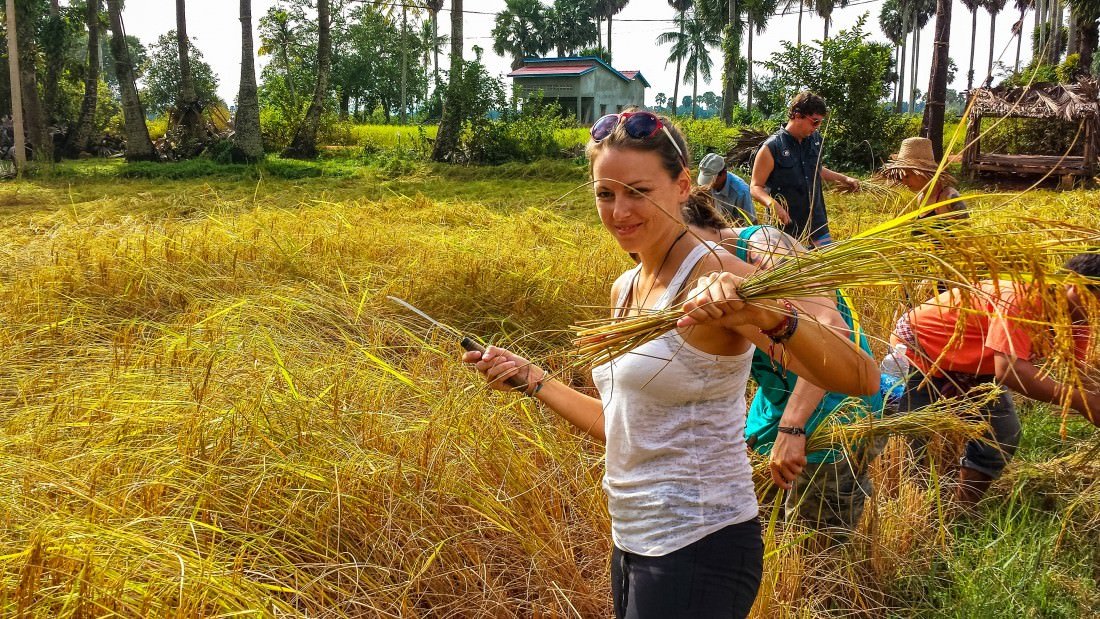 day in the life of a cambodian rice farmer kampot