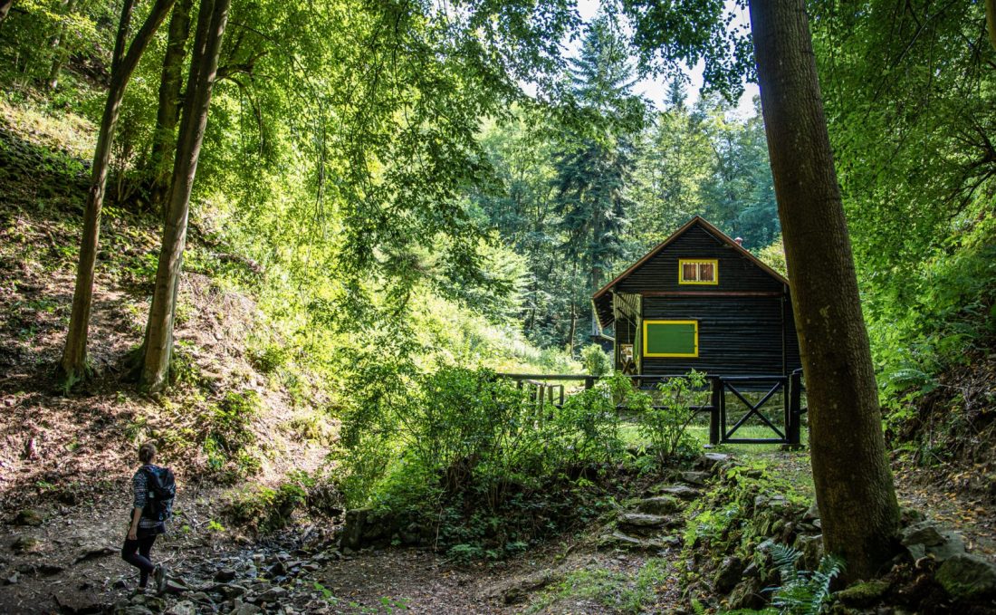 the best hikes in or near Prague