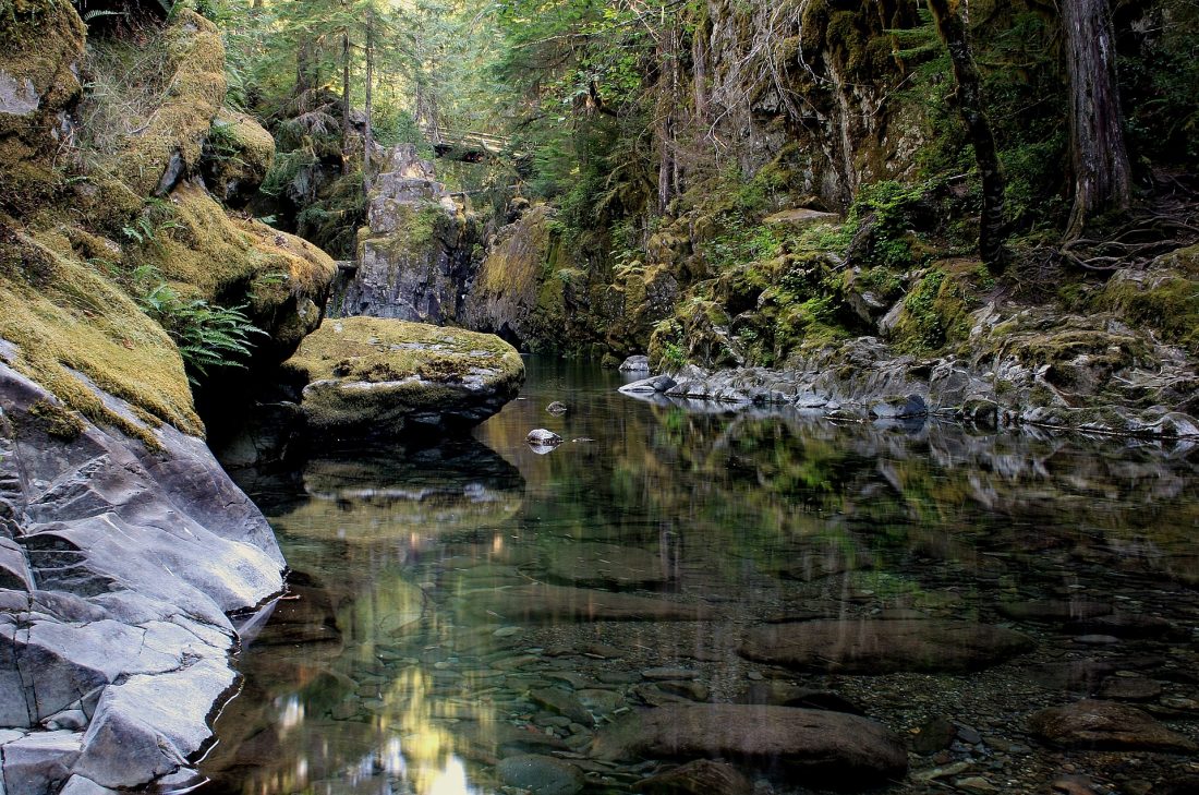Opal Creek in Oregon