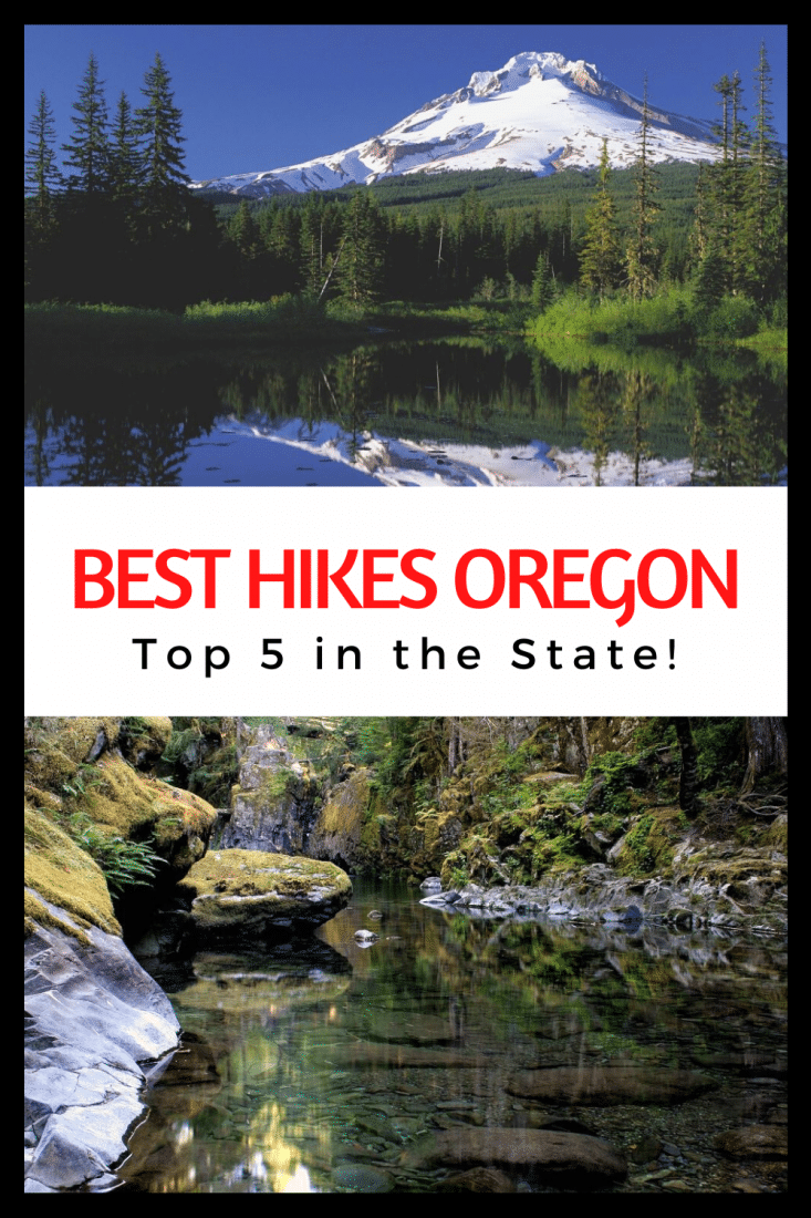 Looking for the best hikes in Oregon? Want to get out and explopre the Pacific Northwest? You'll love these five awesome hikes in Oregon! Don't miss out! They're stunning.