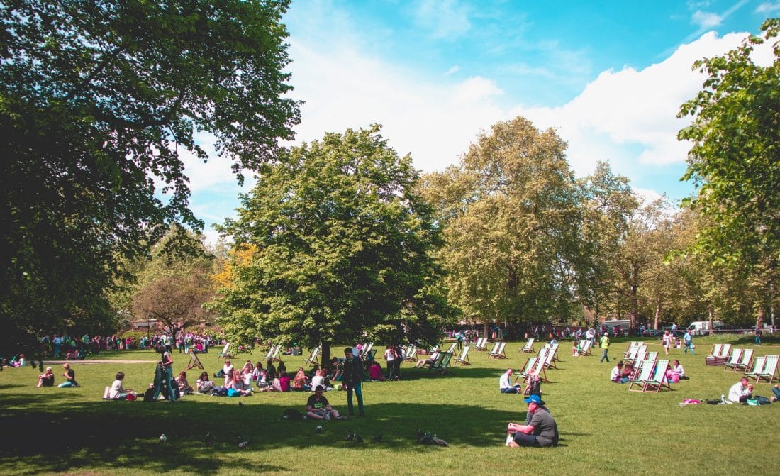 a sunny picnic scene on grassy field in Prospect Park NYC