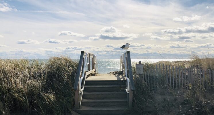 stairs onto a wooden board walk overlooking the ocean in cape cod