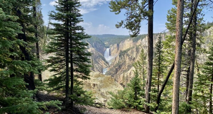scenic overlook at a waterfall in yellowstone itinerary
